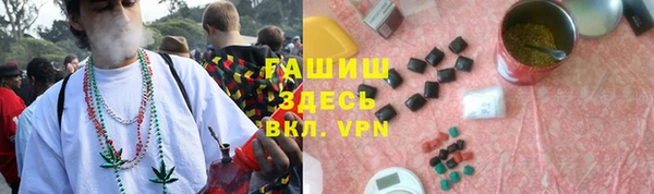 метадон Алексин